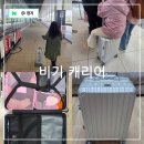 비기걸 | 여행용 캐리어 추천 기내용 캐리어 크기 사이즈 렉스 비기캐리어 20인치