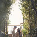 세븐7데이즈 이미지