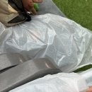 별별음악창작소 | 괜찮겠어? 난 멈추는 법을 몰루는 디아스포라영화제 올출러인데