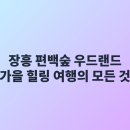 세방황금랜드 | 장흥 편백숲 우드랜드 가을 힐링 여행의 모든 것