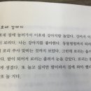 이호동물병원 이미지