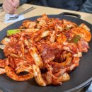 행복한오리농장 이미지