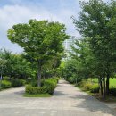 정자공원 이미지