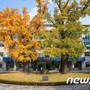 한국목재사업협동조합 뉴스1
