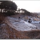 태성건기 이미지