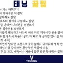 브이태닝