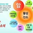 새우일 산소 이미지