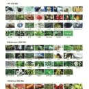 학교앞작은의원 이미지