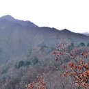망양정로8 (지방도917) | 영양 칠보산