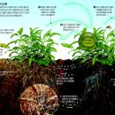 세상과 소통하는 식물의 세계 이미지