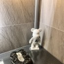 르메디크의원