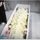 다보스병원장례문화센터 | 쉴낙원경기장례식장 비용, 셔틀버스, 용인화장장 화장비용