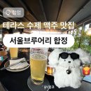 (주)오렌지크래프트 | 서울브루어리 합정 ⎹ 낮술 가능한 테라스 수제맥주 맛집