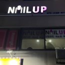 네일업네일UP