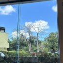 시티온천 | 대만 베이터우 프라이빗 온천 '스프링시티리조트' 평일오전 방문 후기