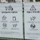 롯데몰 군산점 | 군산 롯데몰 반려견 놀이터 이용 후기 | 펫모차 대여부터 옥상 산책까지 가능한 애견놀이터