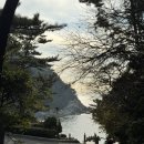 태종대 | 부산 가볼만한곳 / 태종대 유람선 내돈내산 후기