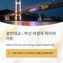 BIFF광장 이미지