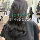 둥이네 | 울산 염색 전문 미용실 추천 삼산 둥이네살롱 울산본점 톤다운 후기