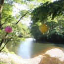 백양 관광호텔 이미지