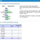서인사거리 이미지
