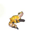 청운지역아동센터 네이버블로그