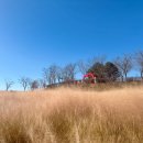 악양승마장 이미지