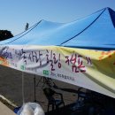 한국자폐인사랑협회제주특별자치도지부 이미지