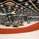 메이에르 이미지