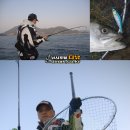 바다낚시 - 영덕군 축산항길 21 | 바다낚시
