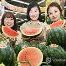 의령농협 하나로클럽 이미지