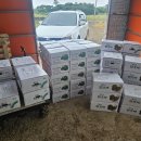 글로리팜 이미지