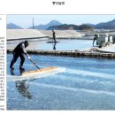 [신안군 천일염]일본방사 오염 여파, 신안군 천일염 품귀현상 이미지