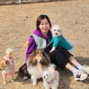 스토리멍 여수애견호텔/여수애견유치원 이미지