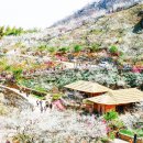 화개119지역대 이미지