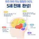 두뇌발달음악교습소 | 블루래빗 우리아기첫토이북 오감발달 전면책장 전집추천 한달 사용 후기