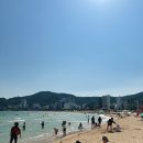 송정해수욕장 발씻는곳 | 부산 송정해수욕장 시간, 씻는 곳, 주차, 근처 맛집, 피서용품 대여 후기