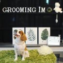 그루밍아이엠 이미지