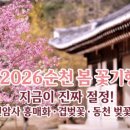 주암댐 전망대 | 주말 순천 나들이, 5시 마감하는 '상사이야기' 돈까스 먹고 호수 뷰 산책까지 (완벽 코스)