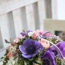 봄의 플로라 이미지