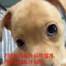 기분 - 은평구 | 기분