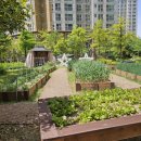 중흥S클래스·시티프라디움(1차) 어린이집 이미지