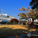 곡성-243 이미지