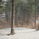 솔밭팬션 이미지