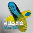 독일인솔 | [ 런스 초이스 - 내돈내산 ] 시다스 인솔 착용 후기 - 해외 인기 러닝 인솔 브랜드 총정리