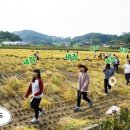 불곡고등학교 이미지