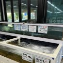 홍도수산센타 | [대전 중리동] 중부회수산/대하와 전어 시즌