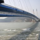 진도우리화원 이미지