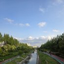 2022 K리그1 서울vs전북 | 2025 K리그1 11R 서울 vs 전북 전설매치 직관기 (@서울월드컵경기장)