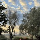 세레나농장 | 9월 스페인 신혼여행/Day 6] 마요르카 숙소 "핀카 세레나(Finca Serena)" 수영장 및 사우나, 화요일...